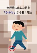 歩行時に出した足を「かかと」から着く理由